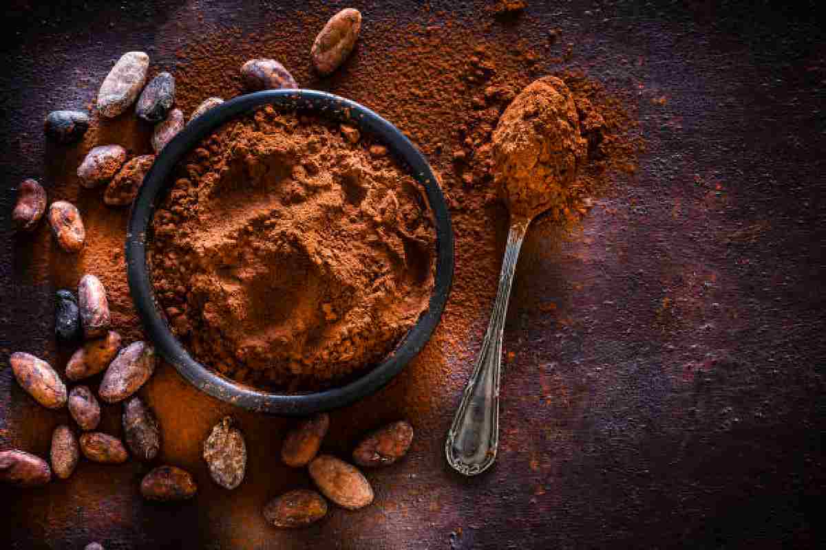 Cacao Powder for Well-Being: A Natural Boost for Mind and Body