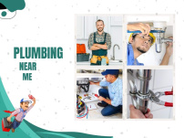 Find the Best Plumber Near Me: Your Local Expert Solutions