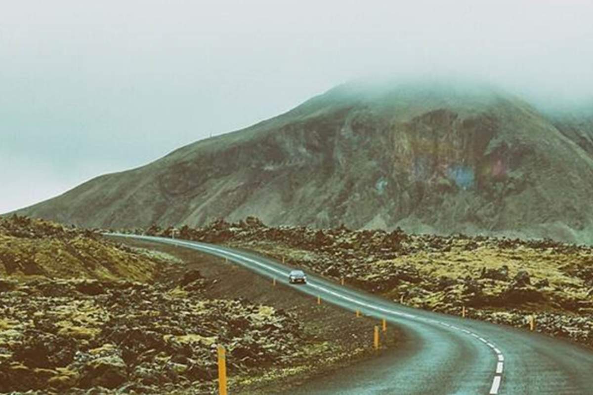 Love Taking Road Trips? Top Accessories for Your Vehicle!