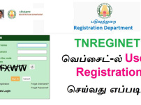 tnreginet. gov. in/portal/ Guide India: Services, Login Process & Property Registration